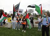 Protest na podporu Palestiny a proti nelegálním iz...