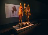 Prozkoumejte lidské tělo na Výstavě Body The Exhib...