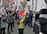 Protest Chcípl PES v Klatovech
