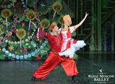Royal Moscow Ballet, zástupce věhlasné ruské baletní školy, vystoupí čtyřikrát v ČR a uvede legendární balety Petra Iljiče Čajkovského Labutí jezero a Louskáček
