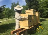 ČEZ: Temelín bude kromě elektřiny vyrábět i med