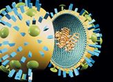 Lidi, neblbněte! Čínský koronavirus: Odborníci překvapivě k českým občanům