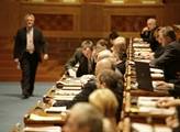 ČSSD chce omezit náklady na volební kampaně, Senát souhlasí 