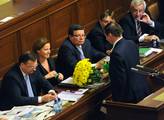 Bárta kritizuje Peake. Vicepremiérka prý hraje hru s církevními restitucemi