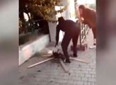 VIDEO Hnus z Itálie. Migrant opéká kočku na ulici. Prý měl hlad. Reakce policie dostala lid do varu