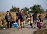 Jan Urbach: Migranti pochodují z Bělehradu na maďarskou hranici