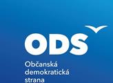 Haas (ODS): Jak se zachovají radní města Pardubice - budou ovlivněni jedincem?