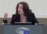 „Plňte příkazy! Pod stůl!“ VIDEO z EU spustilo v Česku lavinu: To Bruselu podporu nezvedne