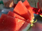 Oldřich Fischer: Já rád melouny