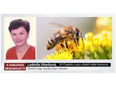 Regionální TV: Skoro polovina včelstev nám uhynula už na podzim, na jaře to bude katastrofa.....