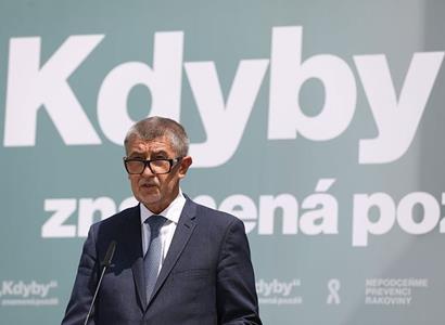 Premiér Babiš: Předsednictví ČR v Radě EU není tématem pro vnitrostátní politické hry