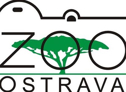 Zoo Ostrava: Mláďata husiček ve výběhu plameňáků