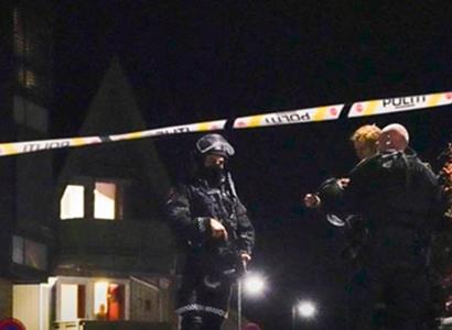 Norsko: Nejen luk. „Muslimský Vilém Tell“, vrah pěti lidí, toho měl víc