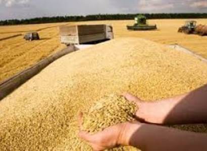 Blokáda pšenice je válečný zločin Ruska, vyhlásil šéf diplomacie EU