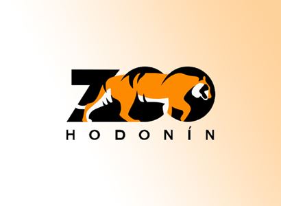 Zoo Hodonín: Mláďata chameleonů jemenských se klubou na svět