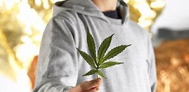 Senát schválil používání marihuany k léčebným účelům