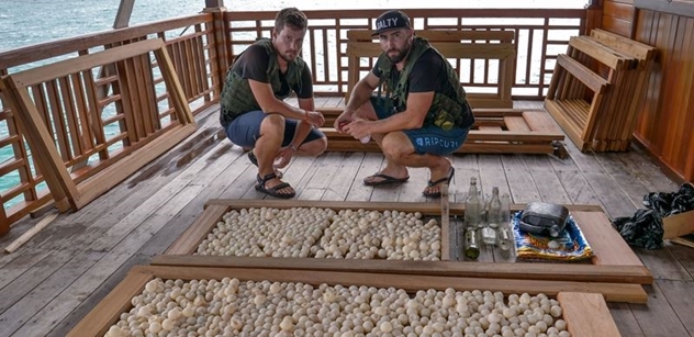 Pracovníkům Zoo Liberec se podařilo odhalit a zatknout další gang pytláků a pašeráků želvích vajec