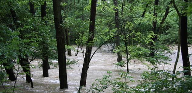 Povodí Moravy: Některé toky se vylévají z koryta