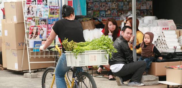 Veterináři spolu s policií zajistili plesnivé potraviny v tržnici SAPA