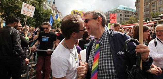 Mladí křesťanští demokraté: Osvojení dětí homosexuálními páry musíme zamezit