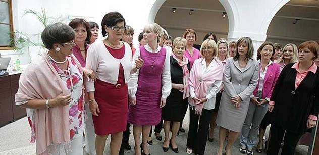 Česká ženská lobby: Rovnost žen a mužů? Často jen na papíře. Jak v Ázerbájdžánu