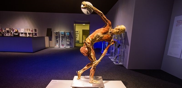 Body The Exhibition – odhalte tajemství vlastního těla