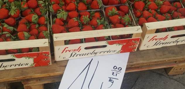 „V ČR jíme špatně a draze.“ Diplomat si všiml jahod za 80 Kč. Ale v Polsku