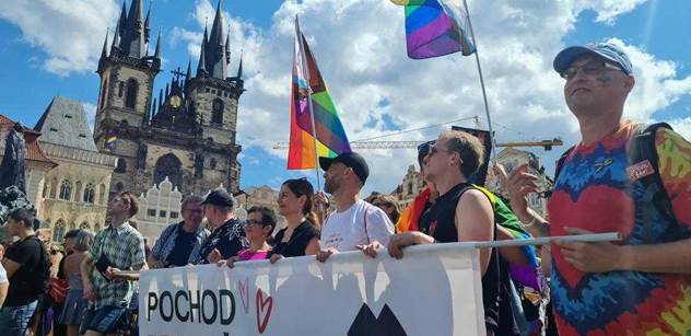 „Copak, volby se nehodí?“ Zmocněnkyně Šimáčková narazila s peticí proti Turkovi