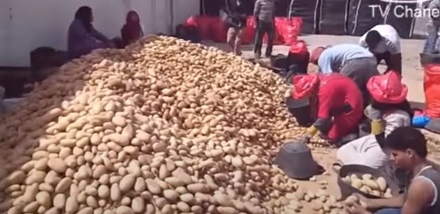 Vždyť my vozíme brambory z Egypta! Herec otřesen návštěvou obchodu. Nepěkné čtení