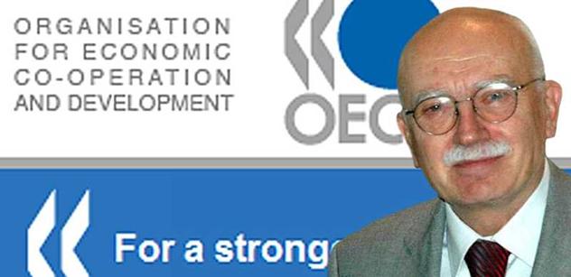 Dyba v OECD: Pří ekonomické přeměně Česka nedošlo k žádné chybě