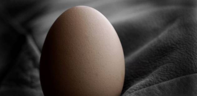Za drahá vejce si můžou sami lidé, vzkazuje spolumajitel drůbežárny