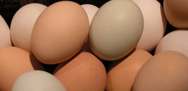 Drahá vejce pomohla drobným chovatelům slepic. Mají zlaté časy