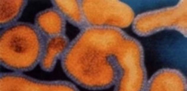 O krok blíž k léku proti smrtící ebole