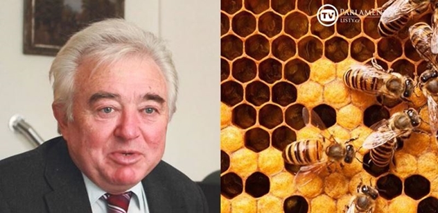 Regionální TV: Včelám chybí pylová pestrost a to snižuje jejich imunitu a ony pak hynou...