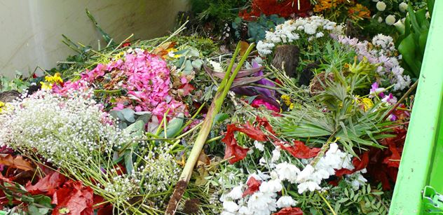 Svaz květinářů a floristů: Z květin se stal odpad, pěstitelé a prodejci přicházejí denně o miliony