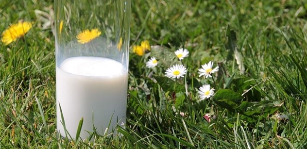 Český trh potravin trápí nízké ceny mléka a ptačí chřipka