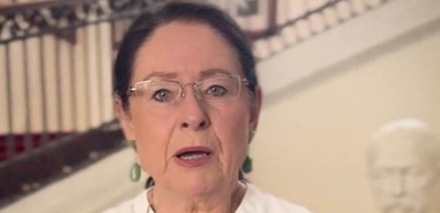 Wollner, Máca, Němcová. Výlet KSČM do Ruska je dostal do varu