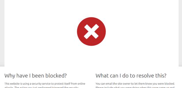 Internetový ostrov. Na stránky britské policie se z Česka nedostanete. Ani odjinud