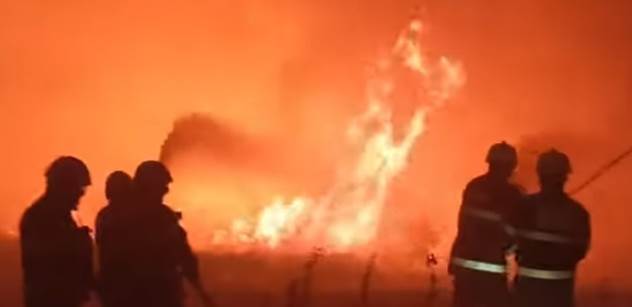 Vladimír Říha: Proč hoří les?
