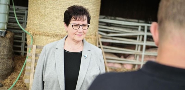 Váňová (KDU-ČSL): Ulevujeme novým podnikatelům, hlasovala jsem pro odklad sociálního pojištění